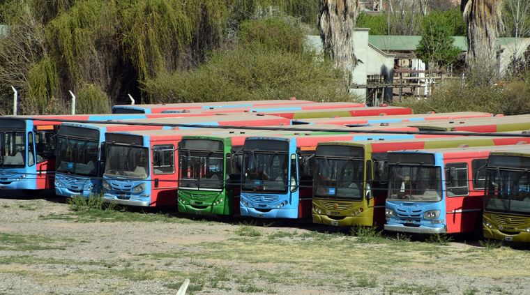 Un depósito de micros nuevos que no ruedan por la pandemia, en calle Paso de Maipú. Foto: ALF PONCE MERCADO / MDZ