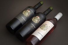 La bodega argentina que revoluciona el mercado con 4 vinos orgánicos