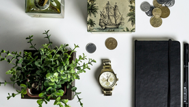 Según el Feng Shui, la planta del dinero debe tener una ubicación especial. Foto: Pixabay - pixabay.com