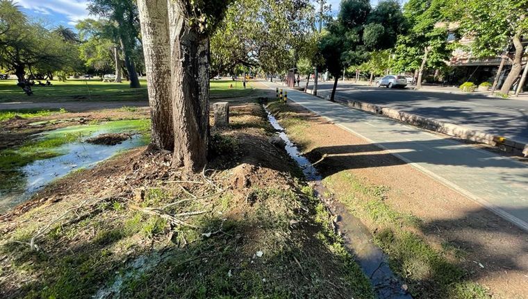 El derrame cloacal se encuentra a escasos metros de la bicisenda Foto: ALF PONCE MERCADO / MDZ