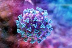 ¿por que es tan bravo?: virologo explica que hace tan mortal al coronavirus