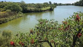 Estos sitios son ideales para conectar con la naturaleza Foto: Ruta Natural