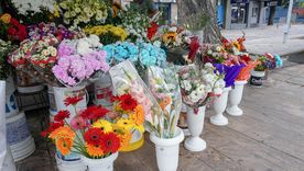 Un lazo final y la elección justa del color transforman un conjunto de flores en un regalo inolvidable. Un lazo final y la elección justa del color transforman un conjunto de flores en un regalo inolvidable.