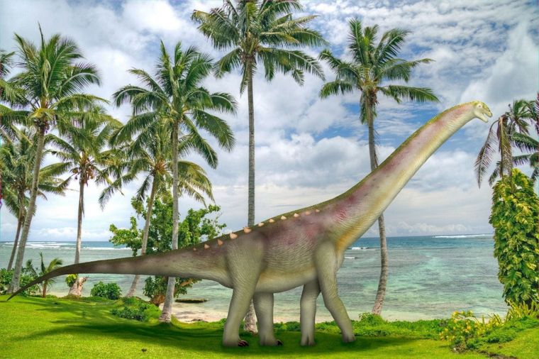El dinosaurio presentado este viernes en el MEB consta de restos de dos especímenes relativamente completos Foto: Sci news