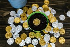 lo que la reciente caida de precios demuestra sobre las criptomonedas