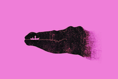 test de personalidad