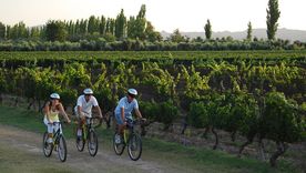 FITUR y el futuro del turismo: experiencias, tecnología y un país más caro. FITUR y el futuro del turismo: experiencias, tecnología y un país más caro.