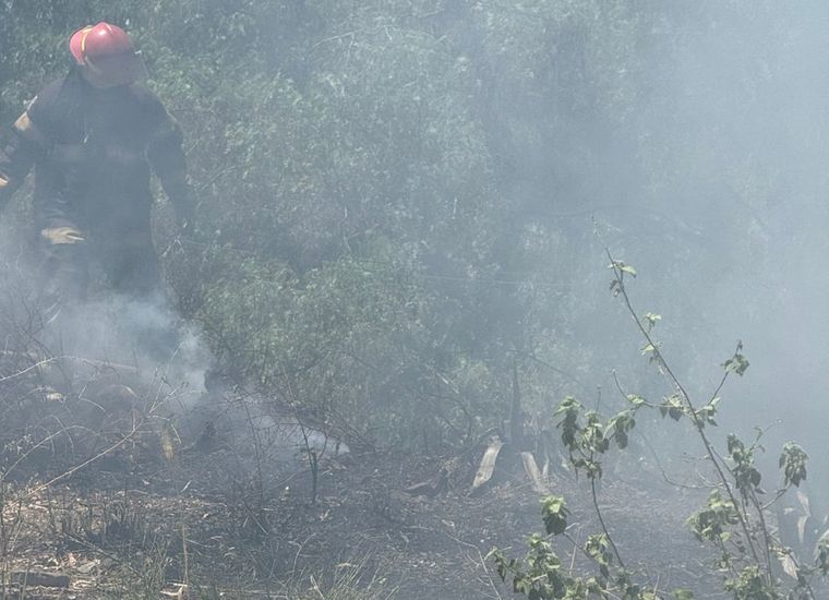 El incendio afectó campo inculto. El incendio afectó campo inculto.