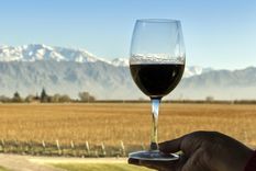 El vino argentino celebra.
