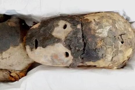 El ADN recuperado de una momia chilena permitió reconstruir un episodio ocurrido hace unos 500 años.