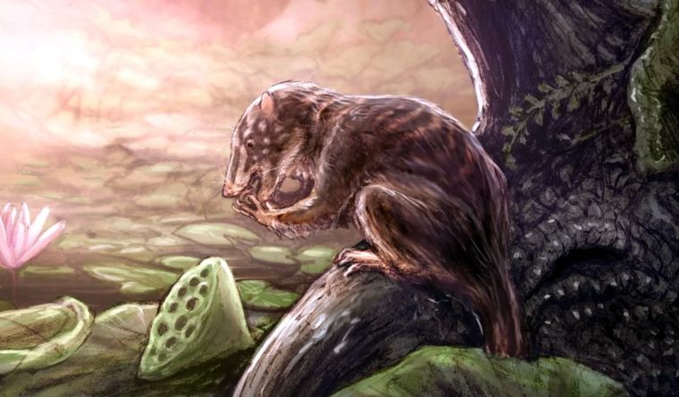 Representación artística de H. Piceanus en un pantano del Cretácico tardío. Foto: Dpa.