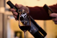 Vinos orgánicos, una tendencia en alza. Gentileza