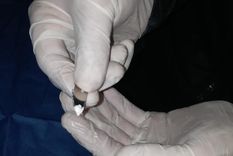 La mujer transportaba un envoltorio con cocaína dentro de su cuerpo Foto: Ministerio de Seguridad de Mendoza