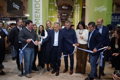 MDZol | 1736407.jpeg