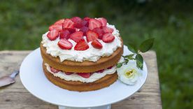 Prepará esta receta de torta de frutillas con crema y conquistá a tu familia.