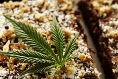 la industria millonaria que mendoza busca convertir en politica de estado