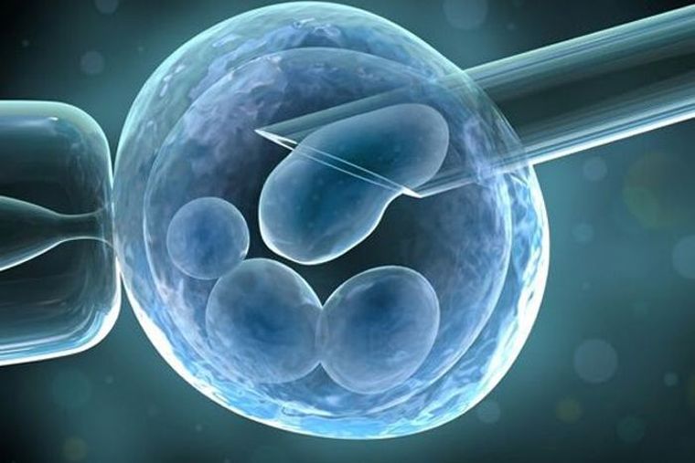 Foto: www.eluniversal.com.co