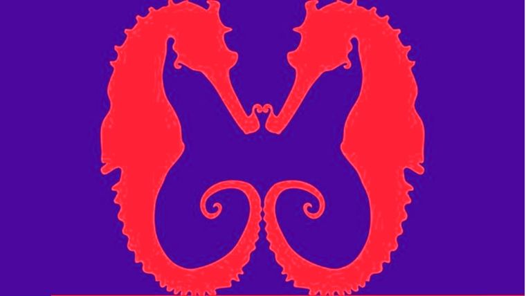 Test de personalidad