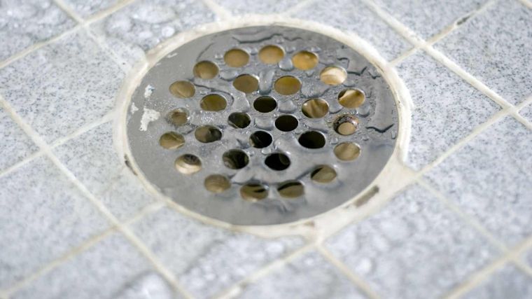 Hay trucos para evitar el estancamiento de suciedad en el drenaje Foto: SHUTTERSTOCK
