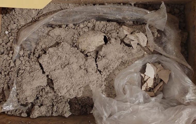 El huevo se descubrió excepcionalmente bien conservado Foto: José Alberto Cruz Silva, INAH