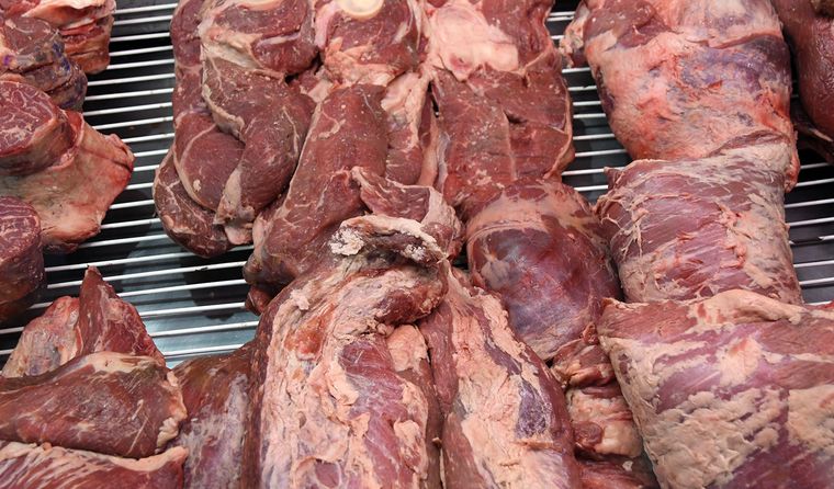 carnes carniceria precios  (2)