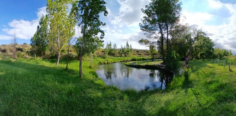 En el camping El Manantial hay una laguna natural. En el camping El Manantial hay una laguna natural.