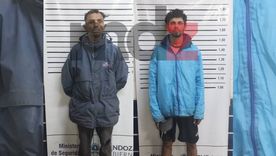 Los dos primos detenidos por robar lamparas de la iluminaria pública.