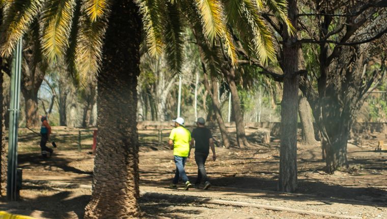 Foto: Santiago Tagua/MDZ