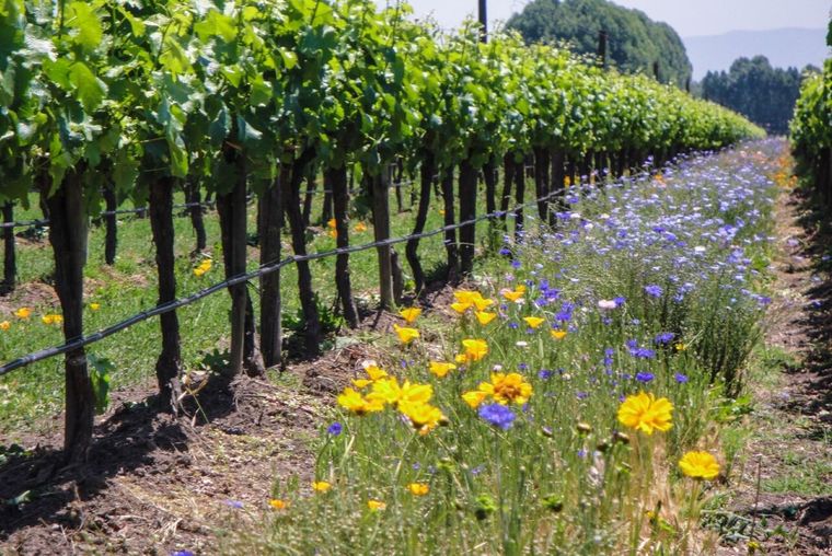 Una nota para aprender algo nuevo.