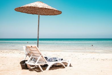 MDZol | Diseño sin título (16)