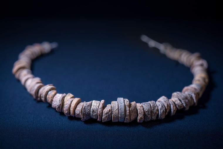 En un principio, Christine había estado buscando las pequeñas partes fosilizadas de un tallo de crinoideo, el cual históricamente se ha usado para hacer collares.