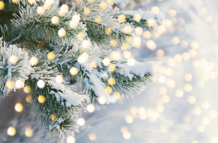 Foto: shutterstock
