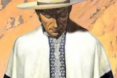 san martin y las audiencias publicas: el parlamento de la consulta