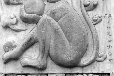 MDZol | Este es lo que le espera a cada signo para comenzar la semana, según la astrología china Foto: Archivo MDZ