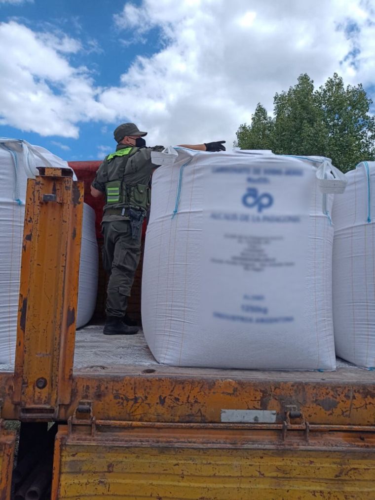 El cargamento no contaba con la autorización requerida