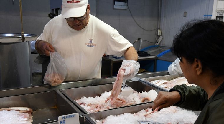 Una investigadora de Mar del Plata fue premiada por su aporte a la producción pesquera. Foto: ALF PONCE MERCADO / MDZ