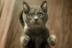 Foto: Foto: Instagram