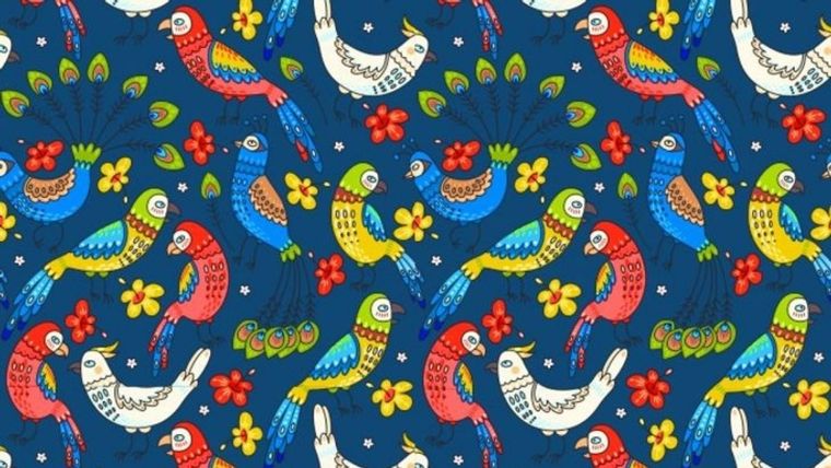 Este acertijo visual pone a prueba tu nivel de atención y de observación Foto: Archivo MDZ