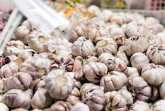 El ajo, también la cebolla y el puerro, según el estudio, curan y alargan la vida de ratones. Foto Dpa