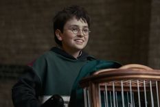 Harry Potter, la serie.&nbsp;