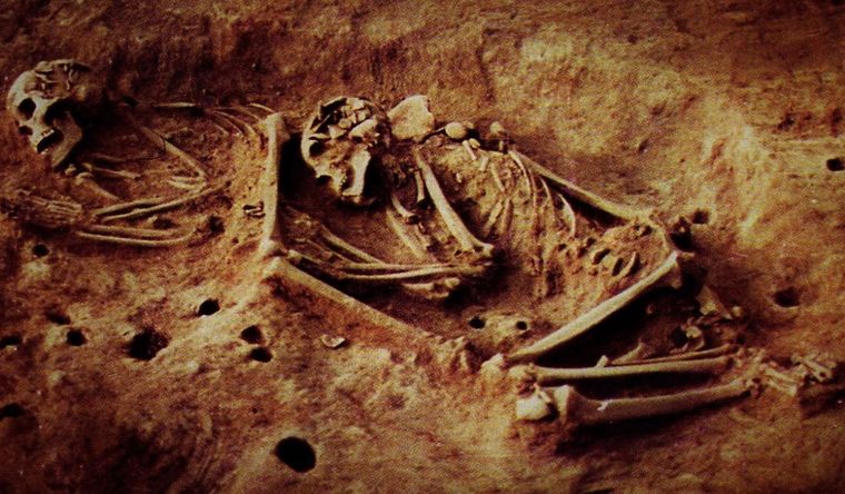 Esqueletos de dos individuos cazadores-recolectores excavados en el sitio arqueológico de Checua (Altiplano de Bogotá). Foto: Dpa