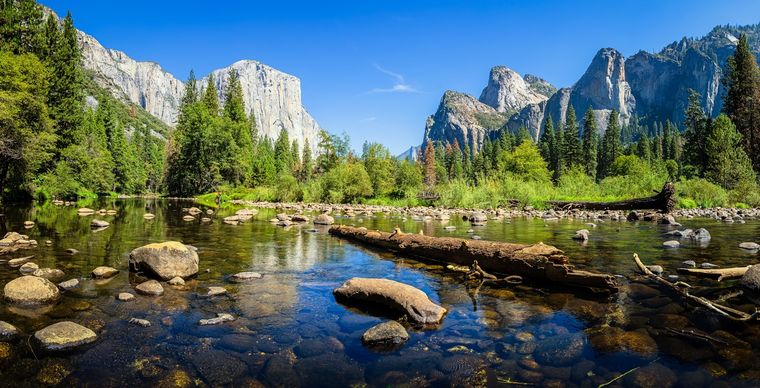 El Parque Nacional Yosemite se ubica en la cordillera Sierra Nevada, California Foto: Shutterstock