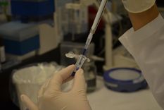 biofarmacos facturaron us$700 millones en 2021 y exportaron por us$200 millones