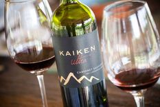 10 claves para conocer mejor las cualidades del cabernet sauvignon