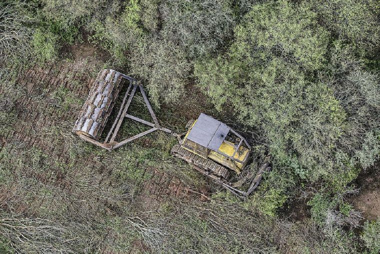 La Justicia Federal de Chaco suspendió por tres meses los desmontes en la provincia. Foto: Greenpeace