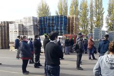 Protocolos eb bodega Trivento.