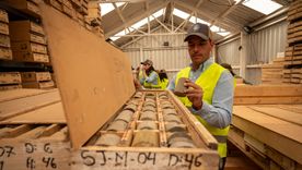 Los testigos obtenidos con las perforaciones diamantinas en PSJ Cobre Mendocino. Los testigos obtenidos con las perforaciones diamantinas en PSJ Cobre Mendocino.