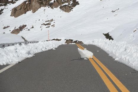Tras las nevadas, habilitaron el Cristo Redentor