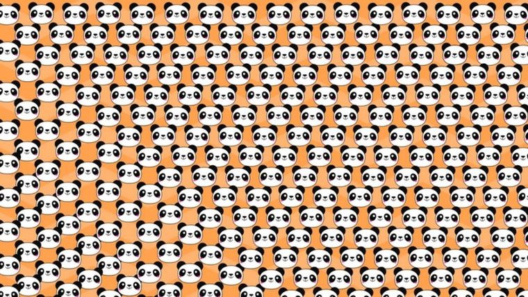 Acertijo visual, reto visual, oso panda