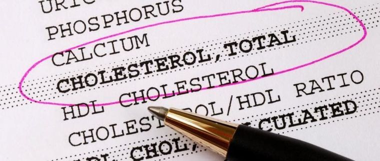 Alimento para colesterol Foto: Shutterstock